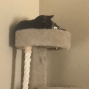 Meet your Posher, Nnicholas